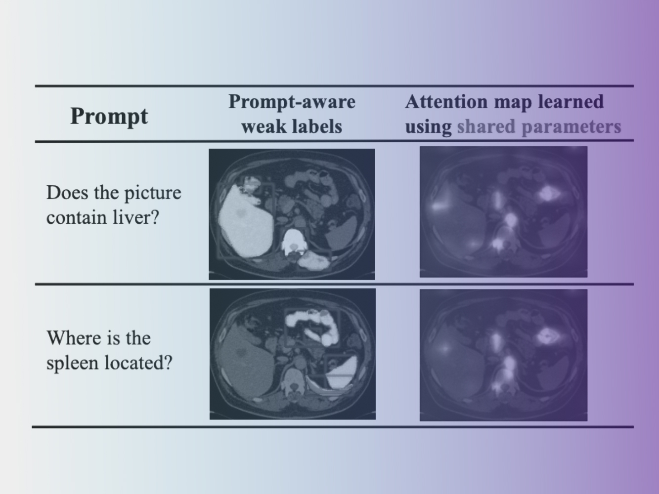 Focus on what matters: Enhancing medical vision-language models with automatic attention alignment tuning